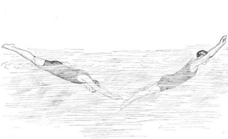 SWIMMING LIKE A PORPOISE